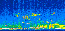 /calipso-imagery/data/BROWSE/production/V5-00/2010-05-08/2010-05-08_13-01-34_V5.00_2_thmb.png image missing