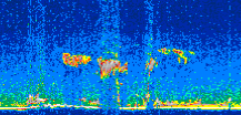 /calipso-imagery/data/BROWSE/production/V5-00/2010-05-08/2010-05-08_16-19-19_V5.00_2_thmb.png image missing