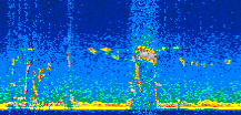 /calipso-imagery/data/BROWSE/production/V5-00/2010-05-09/2010-05-09_00-33-45_V5.00_2_thmb.png image missing