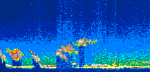 /calipso-imagery/data/BROWSE/production/V5-00/2010-05-09/2010-05-09_03-51-31_V5.00_1_thmb.png image missing