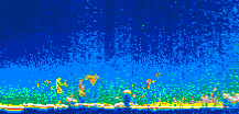 /calipso-imagery/data/BROWSE/production/V5-00/2010-05-09/2010-05-09_17-02-38_V5.00_1_thmb.png image missing