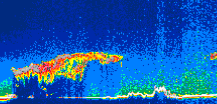/calipso-imagery/data/BROWSE/production/V5-00/2010-05-09/2010-05-09_18-41-33_V5.00_1_thmb.png image missing