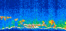 /calipso-imagery/data/BROWSE/production/V5-00/2010-05-09/2010-05-09_20-20-23_V5.00_3_thmb.png image missing