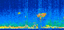 /calipso-imagery/data/BROWSE/production/V5-00/2010-05-09/2010-05-09_21-59-18_V5.00_2_thmb.png image missing