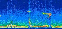 /calipso-imagery/data/BROWSE/production/V5-00/2010-06-05/2010-06-05_00-16-25_V5.00_2_thmb.png image missing