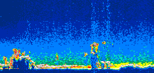 /calipso-imagery/data/BROWSE/production/V5-00/2010-06-05/2010-06-05_11-48-37_V5.00_1_thmb.png image missing