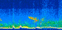 /calipso-imagery/data/BROWSE/production/V5-00/2010-06-05/2010-06-05_11-48-37_V5.00_3_thmb.png image missing