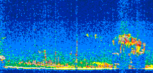/calipso-imagery/data/BROWSE/production/V5-00/2010-06-05/2010-06-05_16-45-17_V5.00_2_thmb.png image missing
