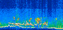 /calipso-imagery/data/BROWSE/production/V5-00/2010-06-05/2010-06-05_20-03-03_V5.00_3_thmb.png image missing