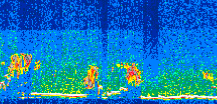 /calipso-imagery/data/BROWSE/production/V5-00/2010-06-05/2010-06-05_23-20-48_V5.00_3_thmb.png image missing