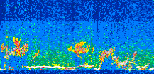 /calipso-imagery/data/BROWSE/production/V5-00/2010-06-10/2010-06-10_00-35-01_V5.00_3_thmb.png image missing