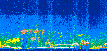 /calipso-imagery/data/BROWSE/production/V5-00/2010-06-10/2010-06-10_08-49-27_V5.00_3_thmb.png image missing