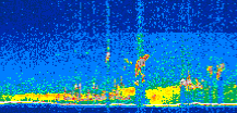 /calipso-imagery/data/BROWSE/production/V5-00/2010-06-10/2010-06-10_12-07-13_V5.00_2_thmb.png image missing