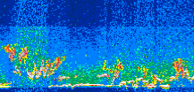 /calipso-imagery/data/BROWSE/production/V5-00/2010-06-10/2010-06-10_17-03-53_V5.00_3_thmb.png image missing