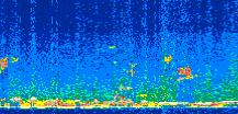/calipso-imagery/data/BROWSE/production/V5-00/2010-06-10/2010-06-10_22-00-34_V5.00_2_thmb.png image missing