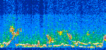 /calipso-imagery/data/BROWSE/production/V5-00/2010-06-10/2010-06-10_23-39-24_V5.00_3_thmb.png image missing
