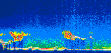 /calipso-imagery/data/BROWSE/production/V5-00/2010-06-22/2010-06-22_04-17-25_V5.00_1_thmb.png image missing