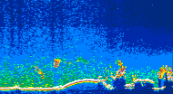 /calipso-imagery/data/BROWSE/production/V5-00/2010-06-22/2010-06-22_05-56-15_V5.00_4_thmb.png image missing