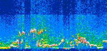 /calipso-imagery/data/BROWSE/production/V5-00/2010-06-22/2010-06-22_10-52-55_V5.00_3_thmb.png image missing
