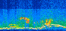 /calipso-imagery/data/BROWSE/production/V5-00/2010-06-22/2010-06-22_14-10-41_V5.00_3_thmb.png image missing