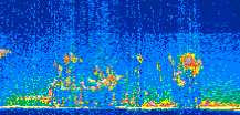 /calipso-imagery/data/BROWSE/production/V5-00/2010-06-22/2010-06-22_17-28-26_V5.00_2_thmb.png image missing