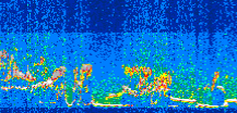 /calipso-imagery/data/BROWSE/production/V5-00/2010-07-05/2010-07-05_07-04-05_V5.00_3_thmb.png image missing