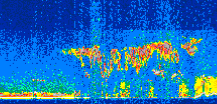 /calipso-imagery/data/BROWSE/production/V5-00/2010-07-05/2010-07-05_08-42-55_V5.00_2_thmb.png image missing