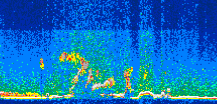 /calipso-imagery/data/BROWSE/production/V5-00/2010-07-05/2010-07-05_15-18-26_V5.00_3_thmb.png image missing