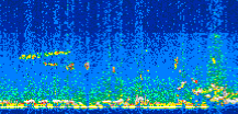 /calipso-imagery/data/BROWSE/production/V5-00/2010-07-05/2010-07-05_20-15-07_V5.00_2_thmb.png image missing