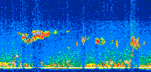 /calipso-imagery/data/BROWSE/production/V5-00/2010-07-10/2010-07-10_02-25-50_V5.00_2_thmb.png image missing