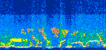 /calipso-imagery/data/BROWSE/production/V5-00/2010-07-10/2010-07-10_12-19-06_V5.00_3_thmb.png image missing