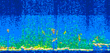 /calipso-imagery/data/BROWSE/production/V5-00/2010-07-10/2010-07-10_15-36-52_V5.00_3_thmb.png image missing