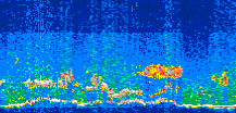 /calipso-imagery/data/BROWSE/production/V5-00/2010-07-10/2010-07-10_20-33-33_V5.00_3_thmb.png image missing