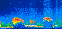 /calipso-imagery/data/BROWSE/production/V5-00/2010-08-10/2010-08-10_00-01-42_V5.00_1_thmb.png image missing