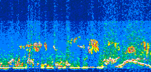 /calipso-imagery/data/BROWSE/production/V5-00/2010-08-10/2010-08-10_14-51-39_V5.00_3_thmb.png image missing