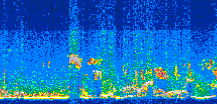 /calipso-imagery/data/BROWSE/production/V5-00/2010-08-10/2010-08-10_16-30-29_V5.00_3_thmb.png image missing