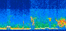 /calipso-imagery/data/BROWSE/production/V5-00/2010-08-22/2010-08-22_00-25-14_V5.00_3_thmb.png image missing