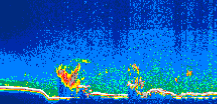 /calipso-imagery/data/BROWSE/production/V5-00/2010-08-22/2010-08-22_08-39-35_V5.00_1_thmb.png image missing