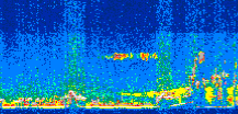 /calipso-imagery/data/BROWSE/production/V5-00/2010-08-22/2010-08-22_10-18-31_V5.00_2_thmb.png image missing
