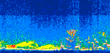 /calipso-imagery/data/BROWSE/production/V5-00/2010-08-22/2010-08-22_11-57-21_V5.00_3_thmb.png image missing