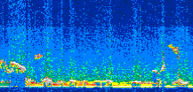 /calipso-imagery/data/BROWSE/production/V5-00/2010-08-22/2010-08-22_21-50-37_V5.00_2_thmb.png image missing
