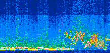 /calipso-imagery/data/BROWSE/production/V5-00/2010-08-22/2010-08-22_21-50-37_V5.00_3_thmb.png image missing