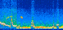 /calipso-imagery/data/BROWSE/production/V5-00/2010-09-05/2010-09-05_00-36-01_V5.00_2_thmb.png image missing