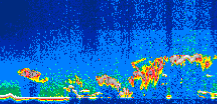 /calipso-imagery/data/BROWSE/production/V5-00/2010-09-05/2010-09-05_02-14-51_V5.00_1_thmb.png image missing