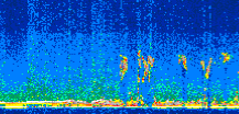 /calipso-imagery/data/BROWSE/production/V5-00/2010-09-05/2010-09-05_02-14-51_V5.00_2_thmb.png image missing