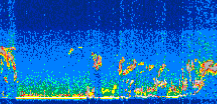 /calipso-imagery/data/BROWSE/production/V5-00/2010-09-05/2010-09-05_03-53-46_V5.00_3_thmb.png image missing