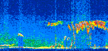 /calipso-imagery/data/BROWSE/production/V5-00/2010-09-05/2010-09-05_05-32-36_V5.00_2_thmb.png image missing