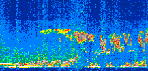 /calipso-imagery/data/BROWSE/production/V5-00/2010-09-05/2010-09-05_07-11-32_V5.00_2_thmb.png image missing