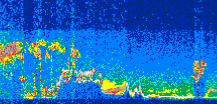 /calipso-imagery/data/BROWSE/production/V5-00/2010-09-05/2010-09-05_07-11-32_V5.00_3_thmb.png image missing