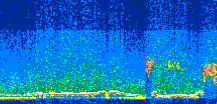 /calipso-imagery/data/BROWSE/production/V5-00/2010-09-05/2010-09-05_22-01-24_V5.00_3_thmb.png image missing